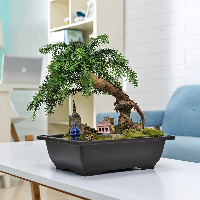 Bonsai Pots for Succulents Bonsai Vase Rectangle Plant Pots for Plants Outdoor Garden Pot Flowerpots Tray Garden Supplies