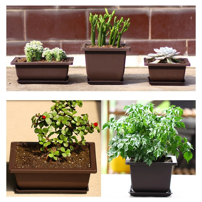 Bonsai Pots for Succulents Bonsai Vase Rectangle Plant Pots for Plants Outdoor Garden Pot Flowerpots Tray Garden Supplies