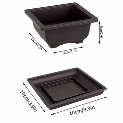 Bonsai Pots for Succulents Bonsai Vase Rectangle Plant Pots for Plants Outdoor Garden Pot Flowerpots Tray Garden Supplies