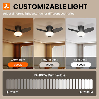 Mexllex Three Leaf Ceiling Fan with Light &amp; Remote Control, 6 Speed, Reversible Noiseless, Dimmable LED Chandelier for Bedroom