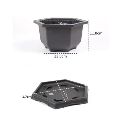 Bonsai Pots for Succulents Bonsai Vase Rectangle Plant Pots for Plants Outdoor Garden Pot Flowerpots Tray Garden Supplies
